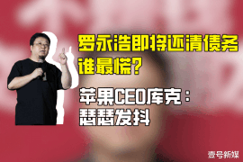 太白要账公司更多成功案例详情